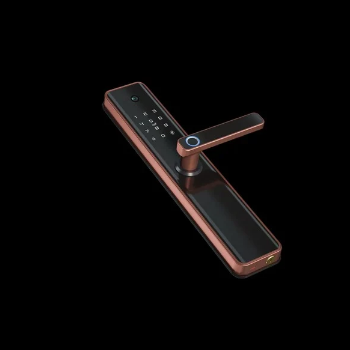 smart door lock